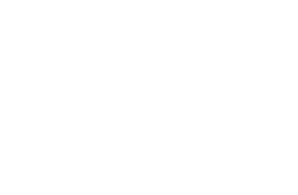 Silver Winner, 53rd Annual ICVM Crown Awards, Best Doc Under $50,000