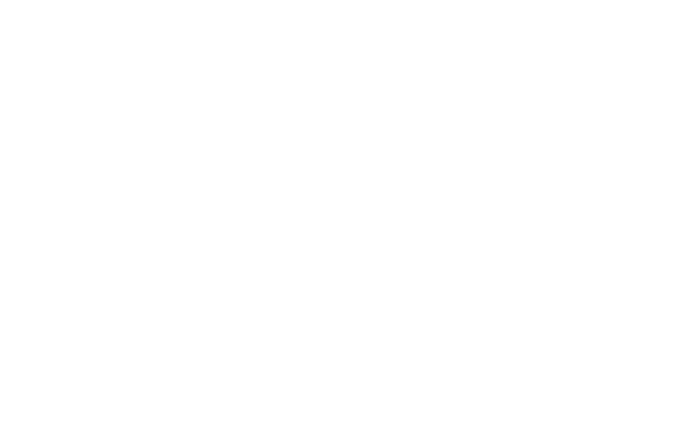 Finalist, 53rd Annual ICVM Crown Awards, Best Doc Under $50,000